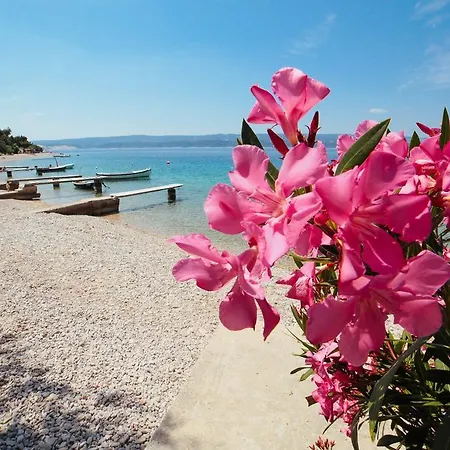 Dada Apartmán Omiš