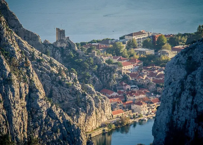 达达公寓 * 奥米什