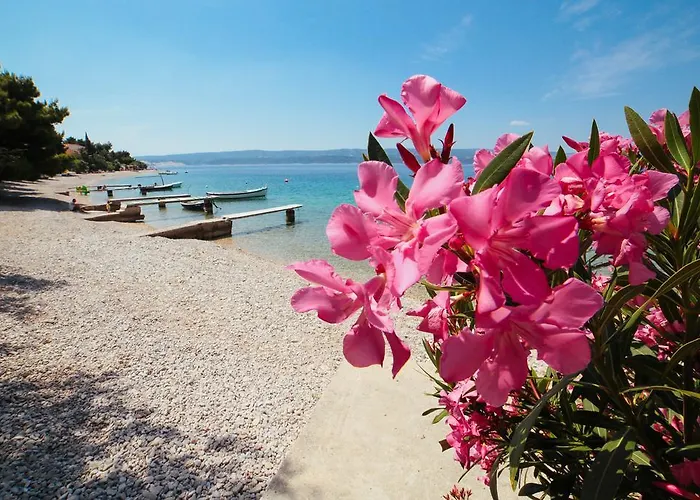 达达公寓 公寓 奥米什